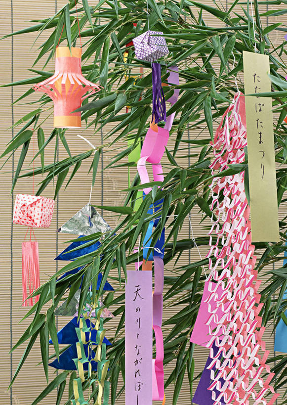 无人,竖图,彩色,室内,特写,白天,正面,爱情,纯洁,植物,竹子,叶子,情人节,节日,七夕,庆祝,装饰,纹理,纸,绿叶,浪漫,文化,绿色,庆典,温暖,温馨,嫩叶,恩爱,纪念,五颜六色,华丽,修饰,色彩斑斓,点缀,和睦,高雅,五彩缤纷,肌理,七夕节,衬托,美观,雅致,雅观,奉献,质朴,织女,牛郎,五彩斑斓,乞巧节,正直,担当,五光十色,叶,叶片,叶脉,竹,彩图,奋进,操守,融洽,四君子,岁寒三友,性坚,虚怀,虚心,善群,卓尔