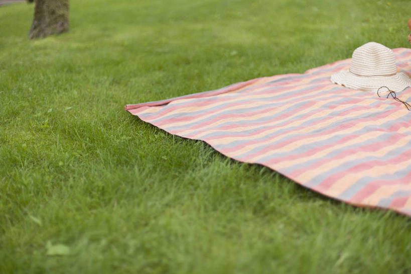 无人,横图,俯视,室外,白天,旅游,度假,草地,草坪,美景,植物,帽子,坐垫,景观,树桩,娱乐,草,树,树干,树木,粉色,绿色,自然,遮阳帽,享受,休闲,木桩,景色,放松,生长,成长,自然风光,野餐垫,野餐地毯,多功能毯,一顶,彩图,高角度拍摄