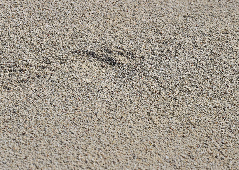 无人,横图,俯视,室外,特写,白天,建材,建筑,静物,一堆,堆叠,堆积,纹路,材料,沙子,纹理,沙,灰色,建造,堆,砂,矿产,肌理,柔和,大方,细致,中间色,朴素,平稳,彩图,高角度拍摄