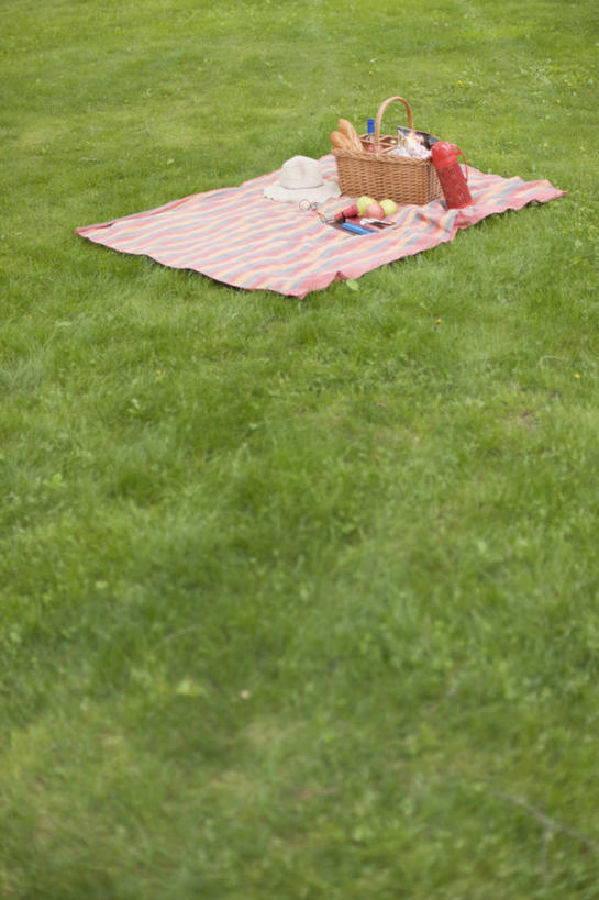 点心,面包,无人,竖图,俯视,室外,白天,草地,草坪,美景,植物,杯子,水果,金属制品,许多,阴影,朦胧,模糊,新鲜,光线,金属,篮子,影子,坐垫,景观,生食,食品,面点,果实,草,食物,糕点,绿色,阳光,自然,景色,有机食品,绿色食品,自然风光,保温杯,保温,野餐垫,野餐地毯,多功能毯,食物篮,彩图,高角度拍摄,野餐篮