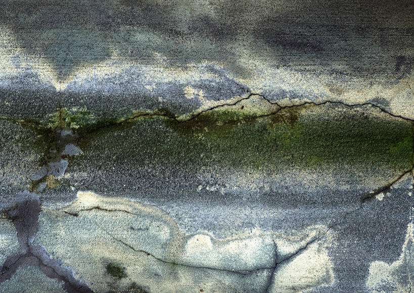 无人,横图,室外,特写,白天,正面,静物,缝隙,裂缝,裂痕,纹路,纹理,墙,墙壁,墙面,绿色,灰色,肌理,彩图