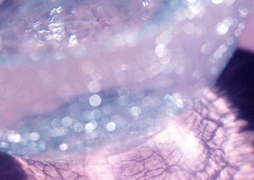 无人,横图,室内,特写,白天,正面,抽象,数码,科技,杯子,玻璃,阴影,朦胧,模糊,光线,网络,影子,高光,几何,计算机图形,合成,玻璃制品,一个,水杯,夸张,单个,刺眼,耀眼,虚幻,电脑合成图,数码合成图,合成图,深奥,刺目,扎眼,空幻,玻璃杯,彩图