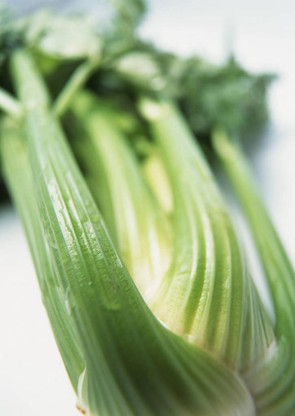 无人,竖图,俯视,室内,特写,白天,白色背景,餐桌,桌子,芹菜,蔬菜,叶子,阴影,朦胧,模糊,新鲜,反射,影子,西芹,食品,绿叶,食物,嫩叶,摄影,有机食品,绿色食品,影棚,餐台,叶,叶片,药芹,水芹,旱芹,彩图,高角度拍摄,影棚拍摄,拍摄,西洋芹菜