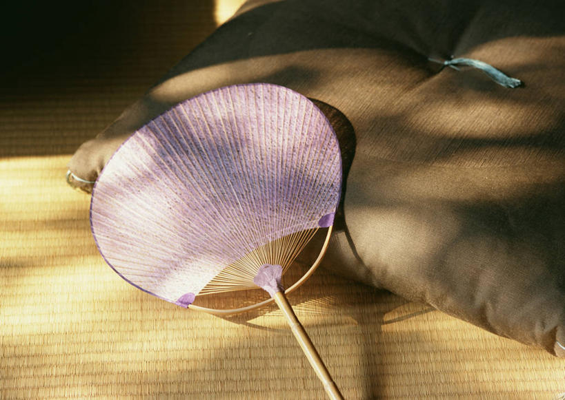 无人,家,横图,俯视,室内,特写,白天,靠垫,静物,阴影,反射,扇子,影子,房屋,屋子,靠枕,塌塌米,榻榻米,清凉,凉爽,文化,楼房,住宅,垫子,枕头,叠席,彩图,高角度拍摄,房子,宫扇,纨扇,圆扇,传统文化