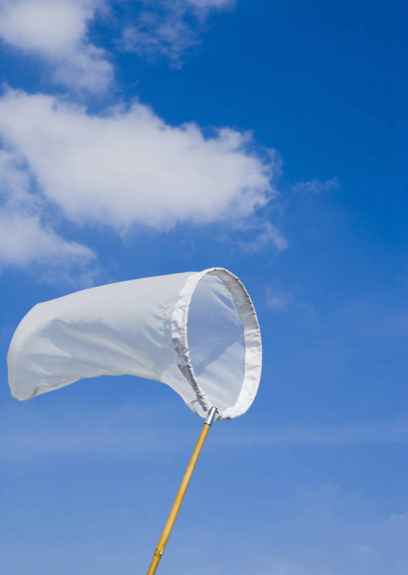 无人,竖图,室外,特写,白天,仰视,阴影,光线,影子,云,云朵,捕虫网,云彩,一个,蓝色,白色,白云,蓝天,天空,阳光,天,晴朗,单个,扫网,水网,扑网,晴空,彩图,低角度拍摄