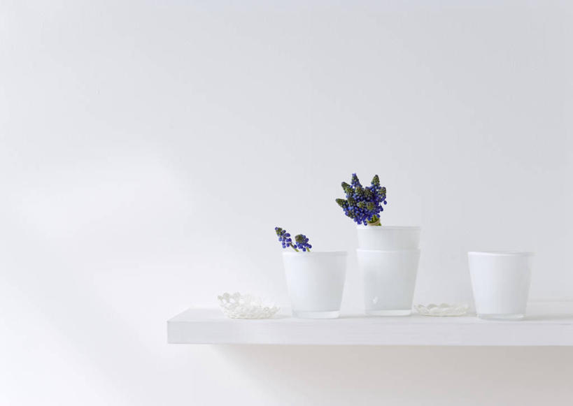 无人,横图,室内,特写,白天,白色背景,正面,爱情,桌面,桌子,花瓶,阴影,盛开,反射,木制,影子,陶瓷,陶瓷制品,花蕾,花,花瓣,花朵,鲜花,三个,紫色,木制品,瓶子,花苞,花蕊,摄影,影棚,悲伤,忧郁,蓝壶花,蓝瓶花,葡萄百合,葡萄风信子,葡萄麝香兰,葡萄水仙,妒忌,彩图,影棚拍摄,拍摄