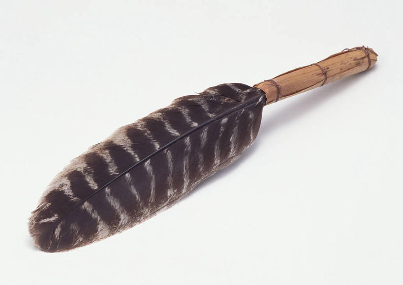 无人,横图,俯视,室内,特写,白天,白色背景,静物,羽毛,阴影,轻盈,柔软,反射,工具,影子,一个,清洁,摄影,影棚,单个,鸡毛掸子,卫生,除尘,保洁,鸡毛掸,轻柔,彩图,高角度拍摄,影棚拍摄,拍摄