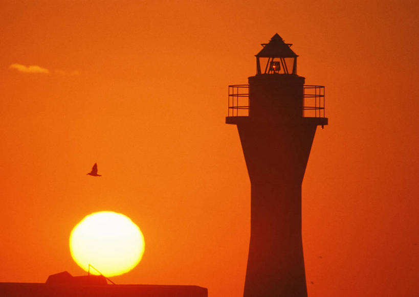 无人,横图,室外,白天,侧面,旅游,度假,美景,日落,太阳,鸟,北海道,日本,亚洲,飞翔,伸展,张开,展翅,阴影,飞行,光线,翅膀,鸟类,影子,景观,晚霞,霞光,落日,背光,翱翔,娱乐,飞,一只,阳光,自然,黄昏,享受,休闲,景色,彩霞,放松,自然风光,逆光,东亚,张开翅膀,日本国,北海道地方,北海道岛,美瑛町,美瑛,道北,夕照,薄暮,展开翅膀,夕阳,彩图,全身,傍晚,上川郡,斜阳,上川支厅