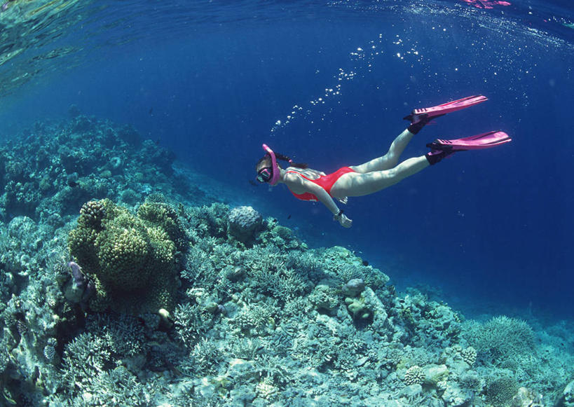 游泳,西方人,一个人,横图,室外,白天,侧面,锻炼,旅游,度假,运动,海底,水下,海浪,海洋,美景,欧洲,马尔代夫,欧洲人,亚洲,仅一个年轻女性,仅一个女性,仅一个人,潜水员,服装,潜水镜,珊瑚,泳镜,景观,浪花,水底,娱乐,珊瑚礁,衣服,自然,海水,享受,休闲,蛙鞋,景色,放松,海底世界,潜水服,潜水,服饰,脚蹼,呼吸管,衣着,穿着,自然风光,南亚,潜水装备,海景,海底礁,面镜,浮潜,潜水运动,马尔代夫共和国,衣饰,体育,年轻女性,女人,女性,白种人,大海,风浪,海,海床,海水的波动,礁,近岸浪,岩石,涌浪,彩图,全身,健身,干式潜水服