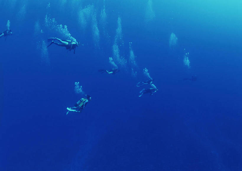 游泳,西方人,横图,室外,白天,侧面,锻炼,旅游,度假,运动,海底,水下,海浪,海洋,美景,欧洲,欧洲人,潜水员,服装,潜水镜,泳镜,景观,浪花,气泡,水底,涟漪,漩涡,许多人,娱乐,水泡,衣服,自然,海水,泡泡,一群人,享受,休闲,蛙鞋,景色,放松,海底世界,潜水服,潜水,服饰,脚蹼,呼吸管,圆弧,衣着,穿着,自然风光,大洋洲,潜水装备,海景,塔希提岛,法属波利尼西亚,社会群岛,大溪地,面镜,浮潜,潜水运动,法属玻利尼西亚,塔西提岛,衣饰,体育,男人,男性,年轻男性,年轻女性,女人,女性,白种人,大海,风浪,海,海床,海水的波动,近岸浪,涌浪,彩图,全身,健身,干式潜水服