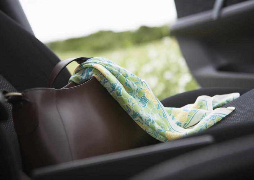 无人,横图,室外,特写,白天,正面,草地,草坪,植物,汽车,一辆,朦胧,模糊,装饰,包,皮包,丝巾,车,草,树,树木,绿色,自然,交通工具,轿车,生长,成长,华丽,单肩包,点缀,载具,衬托,美观,雅致,雅观,彩图