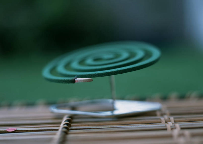 无人,横图,室外,特写,白天,正面,草地,草坪,植物,金属制品,阴影,朦胧,模糊,光线,金属,螺旋,蚊香,影子,架子,草,绿色,阳光,一盘,盘香,彩图,驱蚊物