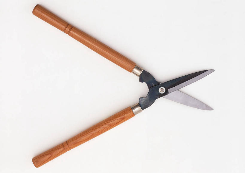 无人,横图,室内,特写,白天,白色背景,正面,静物,金属制品,一把,修剪,金属,工具,剪刀,园艺工具,园艺,摄影,影棚,裁剪,剪子,剪裁,切割,篱笆剪,整篱剪,彩图,影棚拍摄,拍摄