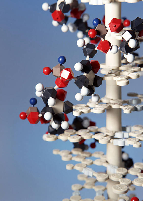 无人,竖图,室内,特写,白天,正面,实验,研发,静物,阴影,蓝色背景,研究,反射,科学,基因,工具,影子,模型,生物,摄影,影棚,遗传,科研,脱氧核糖核酸,分子结构,化验,检验,DNA分子,去氧核糖核酸,遗传信息,遗传因子,遗传学,分子几何,分子立体结构,分子形状,彩图,影棚拍摄,拍摄