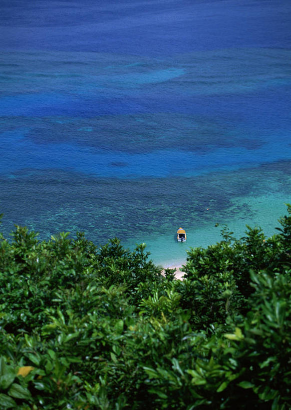 无人,竖图,俯视,室外,白天,旅游,度假,海浪,海洋,美景,沙滩,树林,植物,棕榈树,叶子,斐济,阴影,光线,伞,沙子,影子,雨伞,遮阳伞,海岸,景观,浪花,绿叶,沙地,娱乐,阳伞,树,树木,黄色,绿色,阳光,自然,海水,享受,休闲,嫩叶,景色,放松,生长,成长,太阳伞,自然风光,大洋洲,海景,棕榈叶,南太平洋,斐济群岛共和国,叶,叶片,大海,风浪,海,海水的波动,海滩,近岸浪,涌浪,彩图,高角度拍摄