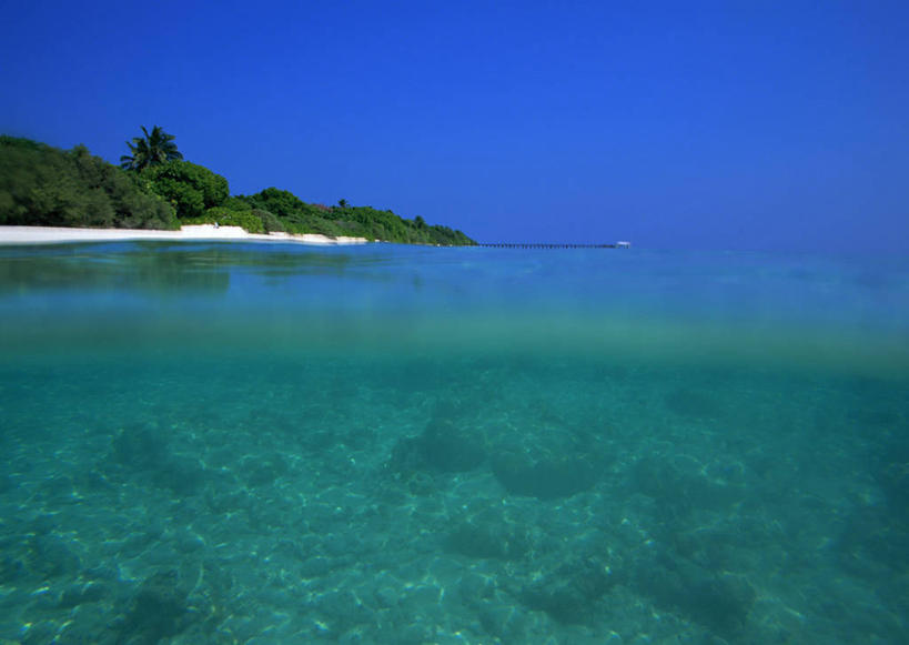 无人,横图,室外,白天,正面,旅游,度假,海浪,海洋,美景,沙滩,树林,植物,棕榈树,叶子,马尔代夫,亚洲,阴影,光线,沙子,影子,海岸,景观,浪花,水平线,辽阔,绿叶,海平线,沙地,娱乐,树,树木,蓝色,绿色,蓝天,天空,阳光,自然,海水,天,享受,休闲,广阔,嫩叶,景色,放松,生长,晴朗,成长,一望无际,自然风光,南亚,海景,棕榈叶,万里无云,马尔代夫共和国,无边无际,一马平川,叶,叶片,大海,风浪,海,海水的波动,海滩,近岸浪,涌浪,晴空,晴空万里,彩图,索尼娃姬莉酒店,水天相接,水天一线