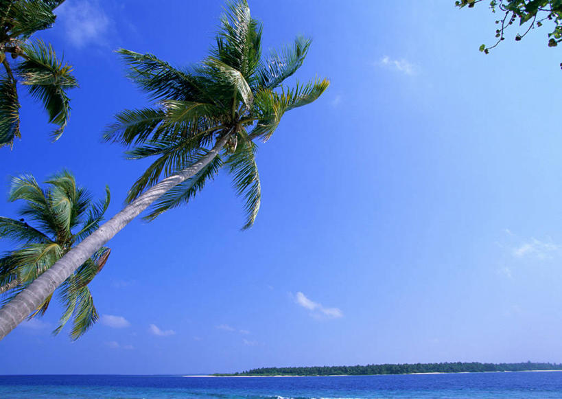 无人,横图,室外,白天,仰视,旅游,度假,海浪,海洋,美景,植物,棕榈树,叶子,马尔代夫,亚洲,阴影,光线,影子,景观,浪花,水平线,云,云朵,辽阔,绿叶,海平线,云彩,娱乐,树,树木,蓝色,绿色,白云,蓝天,天空,阳光,自然,海水,天,享受,休闲,广阔,嫩叶,景色,放松,生长,晴朗,成长,一望无际,自然风光,南亚,海景,棕榈叶,马尔代夫共和国,无边无际,一马平川,叶,叶片,大海,风浪,海,海水的波动,近岸浪,涌浪,晴空,彩图,低角度拍摄,索尼娃姬莉酒店,水天相接,水天一线