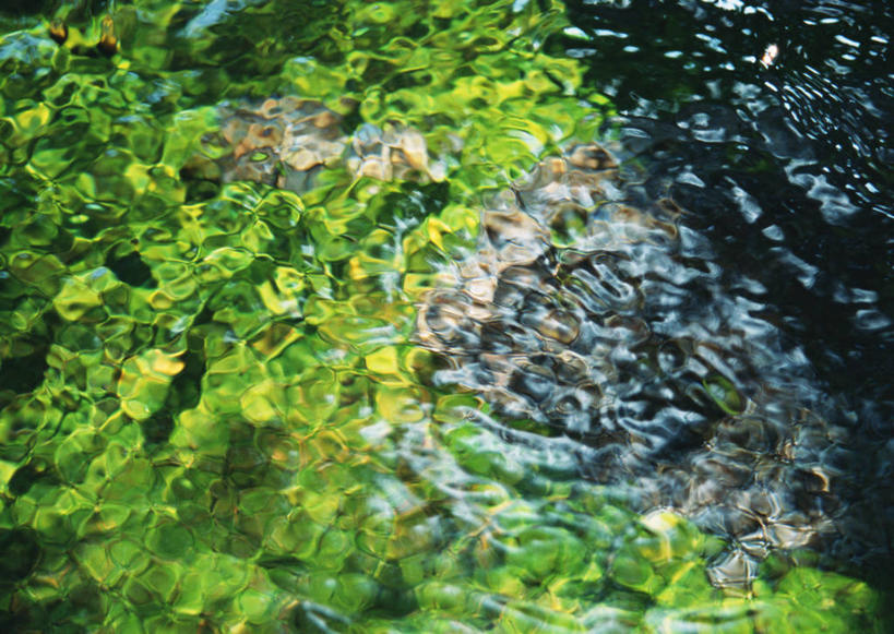 无人,横图,俯视,室外,特写,白天,旅游,度假,湖,湖泊,石头,美景,水,植物,日本,亚洲,波纹,石子,湖面,景观,水流,水面,水草,涟漪,娱乐,倒影,水纹,自然,波浪,湖水,享受,休闲,景色,放松,生长,成长,倒映,自然风光,东亚,本州,本州岛,日本国,岩手,岩手县,水晕,东北地方,反照,石块,岩石,彩图,高角度拍摄,岩手郡