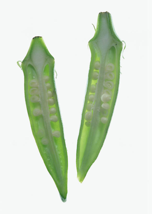无人,竖图,室内,特写,白天,白色背景,正面,蔬菜,新鲜,秋葵,食品,食物,两个,摄影,有机食品,绿色食品,影棚,毛茄,羊角豆,横截面,剖面,黄秋葵,咖啡黄葵,截面,截面图形,彩图,影棚拍摄,拍摄