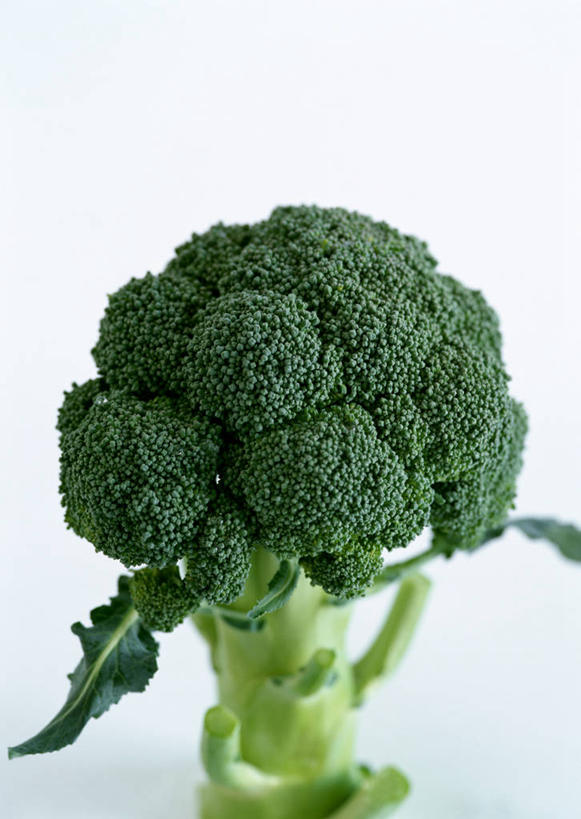 无人,竖图,俯视,室内,特写,白天,白色背景,蔬菜,新鲜,花菜,花椰菜,西兰花,食品,食物,一个,摄影,有机食品,绿色食品,影棚,单个,椰菜花,甘蓝花,彩图,高角度拍摄,影棚拍摄,拍摄