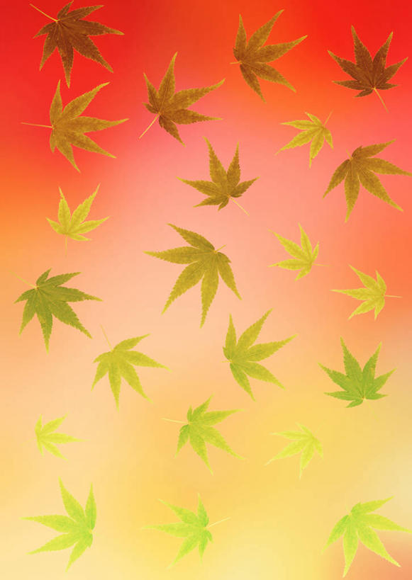 无人,竖图,插画,室内,白天,正面,兴奋,热情,数码,科技,叶子,许多,阴影,网络,枫叶,枯叶,落叶,高光,几何,计算机图形,开放,合成,图画,画,黄色,红色,绿色,健康,温暖,奔放,活力,积极,激情,朝气,枫树叶,暖色,吉祥,电脑合成图,数码合成图,生命,合成图,漫画,饱满,写实,具体,具象,革命,热烈,赤色,充实,斗志,喜气,主动,叶,叶片,彩图,欢乐,葡萄槭,藤枫,藤槭