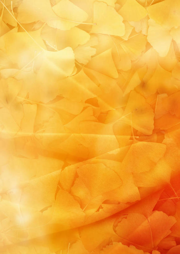 无人,竖图,插画,室内,白天,正面,幸福,数码,科技,叶子,许多,阴影,网络,枫叶,枯叶,落叶,高光,几何,计算机图形,辉煌,合成,图画,画,黄色,红色,温暖,橙色,活泼,枫树叶,华丽,暖色,电脑合成图,数码合成图,合成图,漫画,温情,写实,具体,具象,炽热,响亮,跃动,甜蜜,叶,叶片,彩图,愉快,葡萄槭,藤枫,藤槭