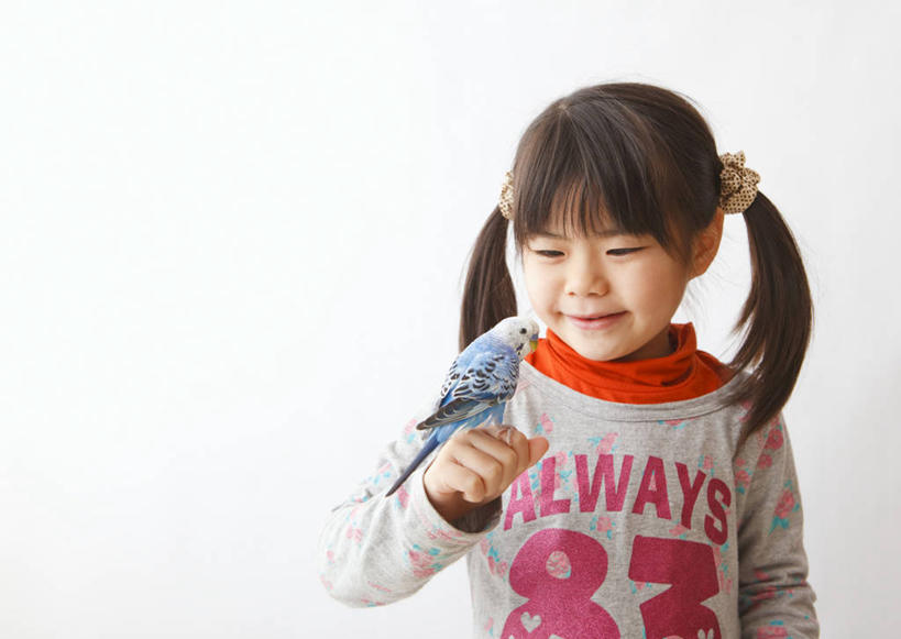 东方人,儿童,一个人,站,举,笑,微笑,横图,室内,白天,白色背景,正面,纯洁,鸟,鹦鹉,亚洲,仅一个女性,仅一个人,服装,英文,鸟类,标志,文字,字符,字母,注视,休闲装,黄种人,标识,一只,小孩,衣服,蓝色,动物,观察,看,托,站着,仅一个小孩,休闲,休闲服,可爱,童年,童趣,摄影,服饰,活泼,影棚,观看,英文字母,察看,关注,童真,阿拉伯文,烂漫,无邪,观赏鸟,阿拉伯语,阿拉伯字母,彩凤,虎皮鹦鹉,娇凤,天真,女孩,女人,女性,亚洲人,孩子,举起,举手,举着,向上举,向上伸,向上托,站立,半身,彩图,影棚拍摄,拍摄,女生
