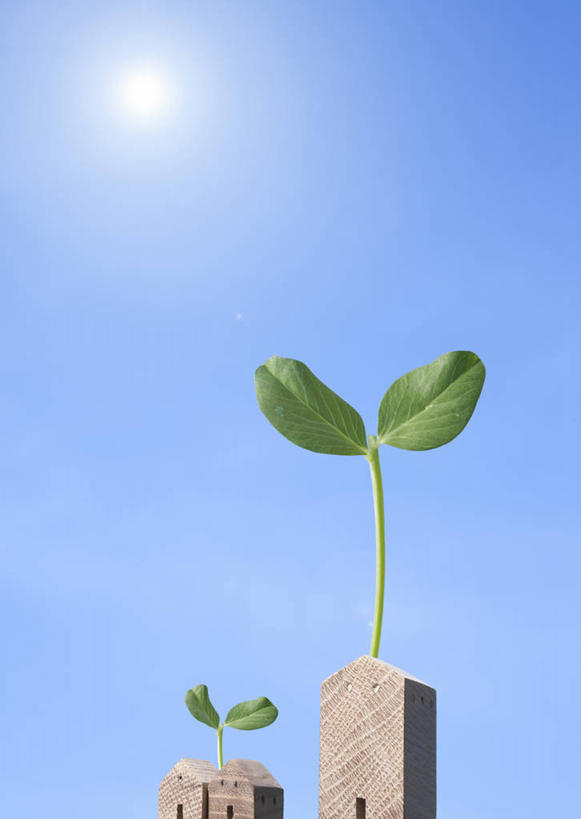 无人,家,竖图,室内,白天,正面,数码,科技,太阳,植物,阴影,光线,网络,影子,房屋,屋子,公寓,高光,几何,计算机图形,合成,洋房,楼房,住宅,蓝色,绿色,蓝天,天空,阳光,自然,天,生长,晴朗,成长,电脑合成图,数码合成图,合成图,万里无云,写实,具体,具象,晴空,晴空万里,彩图,镜头光晕,透镜闪耀,眩光,房子