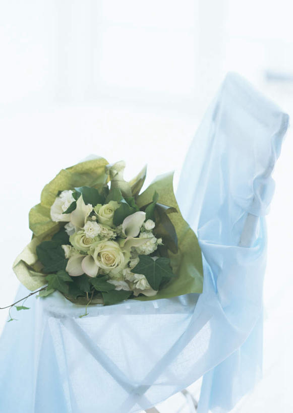 无人,竖图,室内,白天,正面,叶子,椅子,圣诞节,阴影,节日,庆祝,柔软,装饰,盛开,透明,反射,布,影子,绿叶,花蕾,布纹,文化,花,花瓣,花朵,鲜花,花苞,花蕊,庆典,嫩叶,轻薄,纪念,飘逸,华丽,修饰,布匹,点缀,衬托,美观,雅致,雅观,雪纺,叶,叶片,彩图,丝织物,乔其纱,乔其绉,乔琪纱