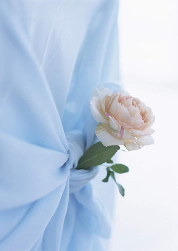 无人,竖图,室内,特写,白天,白色背景,正面,爱情,幸福,纯洁,热情,玫瑰,叶子,椅子,圣诞节,节日,庆祝,柔软,盛开,透明,布,墙,绿叶,玫瑰花,浪漫,花蕾,布纹,文化,墙壁,墙面,花,花瓣,花朵,鲜花,一朵,粉色,白色,花苞,花蕊,庆典,温暖,温馨,嫩叶,恩爱,摄影,影棚,轻薄,纪念,飘逸,布匹,和睦,感动,尊敬,雪纺,天真,刺玫花,徘徊花,叶,叶片,彩图,影棚拍摄,拍摄,丝织物,乔其纱,乔其绉,乔琪纱,融洽