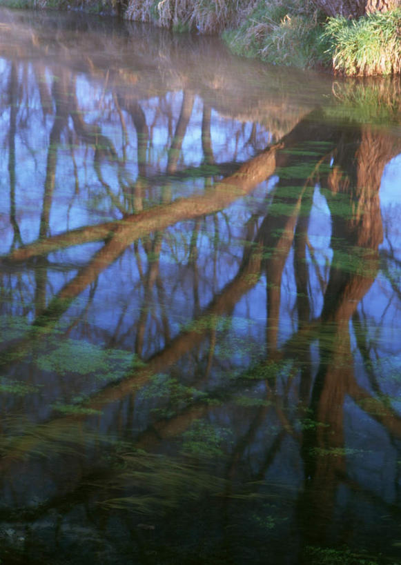 无人,竖图,俯视,室外,白天,旅游,度假,草地,草坪,河流,美景,水,植物,长野县,日本,亚洲,阴影,光线,影子,河水,景观,水流,枝条,娱乐,草,树,树木,树枝,蓝色,绿色,蓝天,天空,小溪,阳光,自然,天,溪水,享受,休闲,景色,放松,晴朗,自然风光,东亚,本州,万里无云,本州岛,日本国,中部地方,长野,虬枝,枝杈,安昙野,安昙野市,晴空,晴空万里,彩图,高角度拍摄