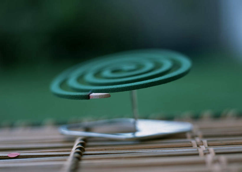 无人,横图,室外,特写,白天,正面,草地,草坪,植物,金属制品,阴影,朦胧,模糊,光线,金属,螺旋,蚊香,影子,架子,草,绿色,阳光,一盘,盘香,彩图,驱蚊物