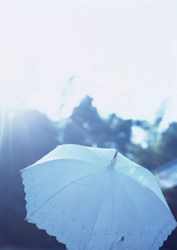 无人,竖图,室外,特写,白天,正面,植物,阴影,朦胧,模糊,光线,伞,影子,雨伞,遮阳伞,阳伞,树,树木,绿色,天空,阳光,自然,天,生长,成长,太阳伞,一顶,彩图