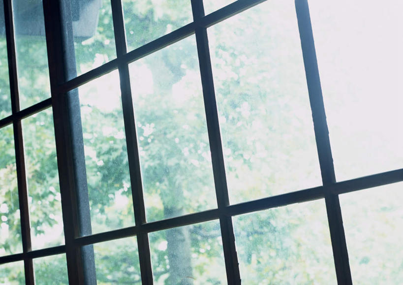 无人,家,横图,室内,特写,白天,正面,植物,房间,家具,门,拉门,阴影,朦胧,模糊,日本文化,光线,影子,屋子,和室,古典,文化,移门,楼房,住宅,树,树木,绿色,阳光,自然,日式,生长,成长,障子,纸门,彩图,房子,传统文化