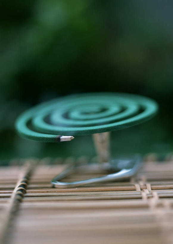 无人,竖图,室外,特写,白天,正面,草地,草坪,植物,金属制品,阴影,朦胧,模糊,光线,金属,螺旋,蚊香,影子,架子,草,绿色,阳光,一盘,盘香,彩图,驱蚊物