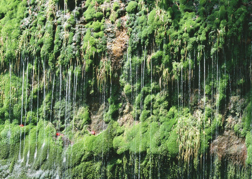 无人,横图,室外,白天,正面,旅游,度假,石头,美景,山,山脉,水,日本,亚洲,阴影,飞溅,溅,光线,石子,液体,影子,景观,山峰,水滴,青苔,苔藓,山峦,娱乐,水珠,阳光,自然,群山,享受,休闲,景色,放松,喷洒,自然风光,东亚,日本国,九州本岛,九州,九州岛,九州地方,熊本,熊本县,石块,岩石,彩图,阿苏郡