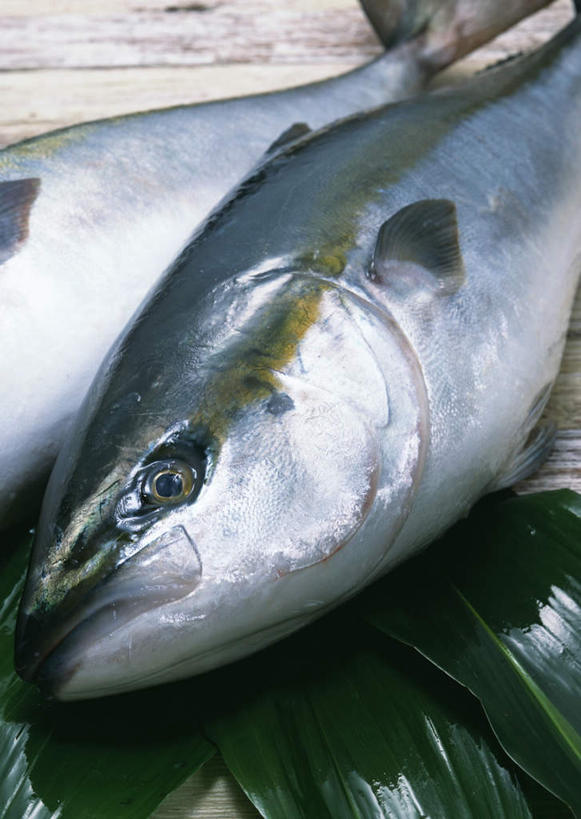 海鲜,无人,竖图,俯视,室内,特写,白天,桌面,桌子,叶子,两条,木制,鱼,绿叶,水产,鱼类,海洋生物,木制品,嫩叶,水生动物,海产品,水生物,海底动物,鰤,鰤鱼,叶,叶片,半身,彩图,高角度拍摄