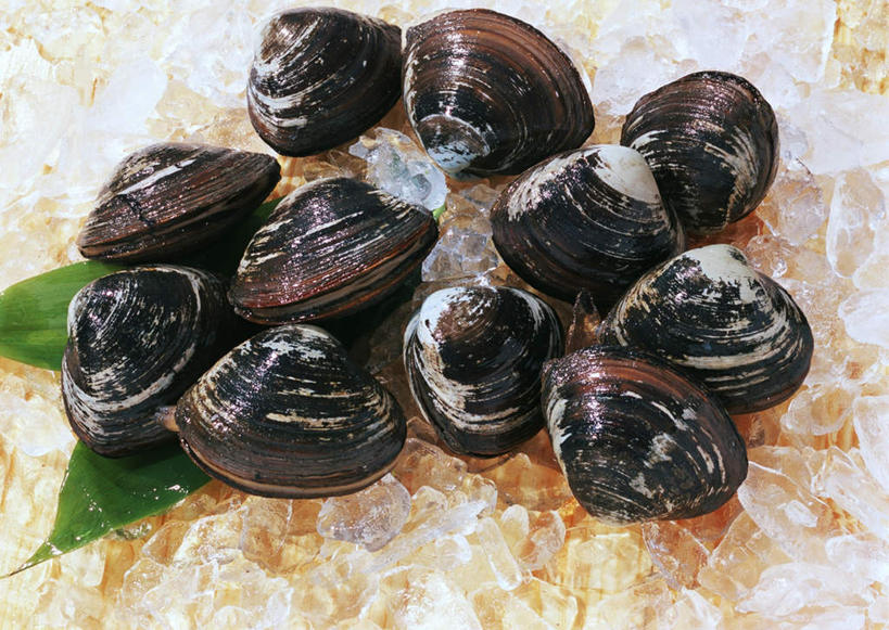 海鲜,无人,横图,俯视,室内,特写,白天,餐桌,桌子,叶子,许多,阴影,反射,影子,冰,冰块,绿叶,很多,冷冻,水产,海洋生物,黑色,嫩叶,寒冷,冷藏,餐台,冰冷,水生动物,海产品,水生物,海底动物,北极贝,保鲜,叶,叶片,彩图,高角度拍摄,全身