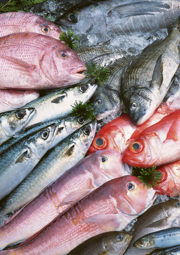 海鲜,无人,竖图,俯视,室内,白天,餐桌,桌子,叶子,一排,许多,阴影,整齐,并列,并排,反射,鱼,影子,绿叶,很多,鲷鱼,水产,鱼类,海洋生物,排列,红色,白色,黑色,嫩叶,餐台,鲷,加吉鱼,金眼鲷,铜盆鱼,真鲷,队列,水生动物,海产品,平行,水生物,红鲷,海底动物,黑鲷,班加吉,加真鲷,红加吉,白方头鱼,方头鱼,甘鲷,红马头,马头鱼,银方头鱼,叶,叶片,半身,彩图,高角度拍摄,黑鲷鱼,黑棘鲷,青鳞加吉