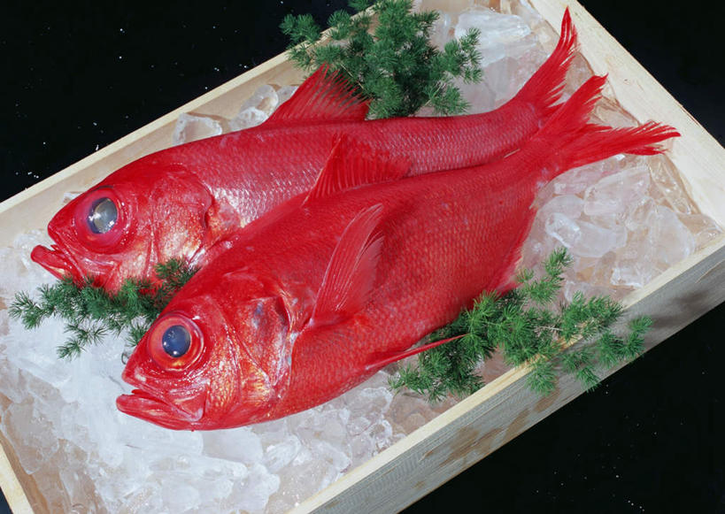 海鲜,无人,横图,俯视,室内,特写,白天,餐具,叶子,两条,黑色背景,鱼,碟子,盘,冰,冰块,绿叶,鲷鱼,冷冻,水产,鱼类,海洋生物,红色,盘子,碟,嫩叶,寒冷,摄影,影棚,冷藏,鲷,加吉鱼,金眼鲷,铜盆鱼,冰冷,水生动物,海产品,水生物,海底动物,班加吉,加真鲷,保鲜,叶,叶片,彩图,高角度拍摄,全身,影棚拍摄,拍摄