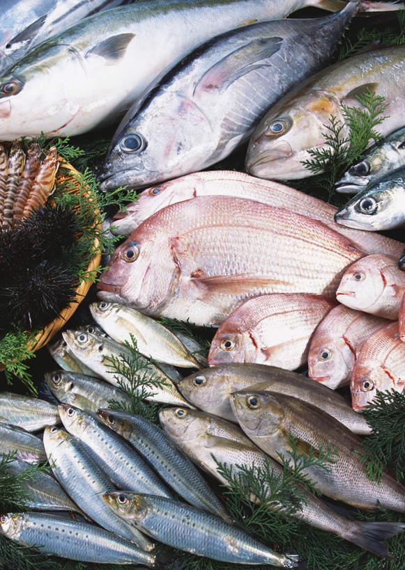 海鲜,无人,交叉,竖图,俯视,室内,白天,餐桌,桌子,竹子,叶子,许多,阴影,竹制,编织,反射,篮子,影子,冰,冰块,绿叶,很多,鲭鱼,冷冻,水产,海洋生物,竹篮,嫩叶,寒冷,鲍鱼,沙丁鱼,冷藏,餐台,竹条,鲱鱼,花池鱼,花鲱,花鳀,青花鱼,石决明,鲐鲅鱼,油胴鱼,交织,冰冷,竹制品,水生动物,海产品,水生物,海底动物,沙甸鱼,沙鲻,沙脑鰛,大肚鰛,真鰛,萨丁鱼,鳁,鲱科,保鲜,穿插,鳆鱼,镜面鱼,明目鱼,鰤,鰤鱼,叶,叶片,半身,彩图,高角度拍摄