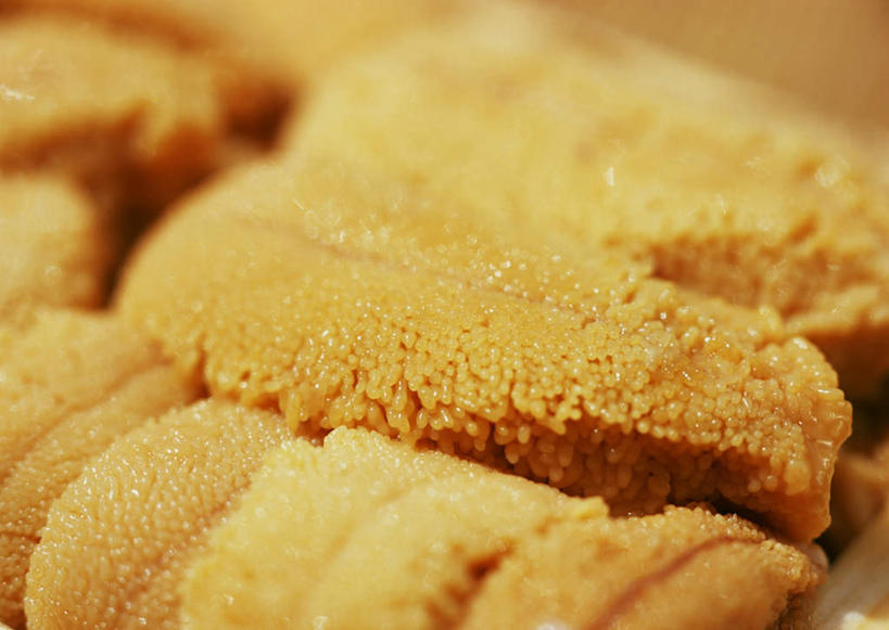 海鲜,无人,横图,俯视,室内,特写,白天,餐桌,桌子,海胆,许多,阴影,朦胧,模糊,反射,影子,很多,水产,海洋生物,黄色,餐台,水生动物,海产品,水生物,海底动物,刺锅子,海刺猬,半身,彩图,高角度拍摄