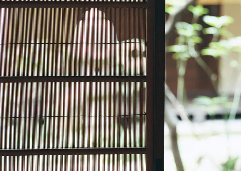 无人,横图,室内,特写,白天,正面,植物,门,照明,拉门,朦胧,模糊,灯光,移门,灯,树,树木,绿色,自然,灯具,生长,成长,照亮,照明设备,障子,纸门,拉窗,纸拉窗,纸拉门,彩图,石灯