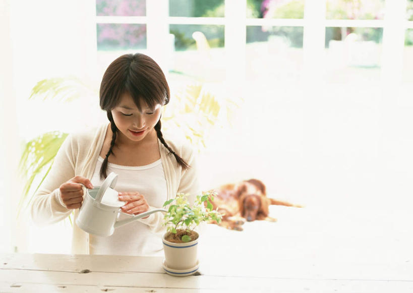 东方人,一个人,站,横图,室内,白天,正面,水,植物,窗户,桌面,桌子,宠物,狗,亚洲,仅一个年轻女性,仅一个女性,仅一个人,握,飞溅,服装,朦胧,模糊,溅,木制,壶,盆栽,液体,墙,水滴,盆景,拿,洒水壶,拿着,注视,休闲装,黄种人,玻璃窗,墙壁,墙面,水壶,水珠,一只,衣服,绿色,白色,自然,动物,木制品,低头,观察,看,站着,休闲,休闲服,可爱,握着,服饰,生长,成长,观看,察看,关注,喷洒,忠诚,浇水壶,塞特犬,雪达犬,爱尔兰塞特犬,爱尔兰雪达犬,年轻女性,女人,女性,亚洲人,犬,站立,半身,彩图