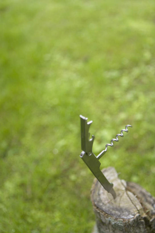 无人,竖图,俯视,室外,特写,白天,草地,草坪,植物,工具,开瓶器,树桩,开瓶,草,树干,绿色,木桩,开启,开罐器,启瓶器,瓶启,红酒酒启,红酒开瓶器,红酒启瓶器,酒刀,酒开,酒起,葡萄酒开酒器,葡萄酒开瓶器,罐头刀,彩图,高角度拍摄,酒具