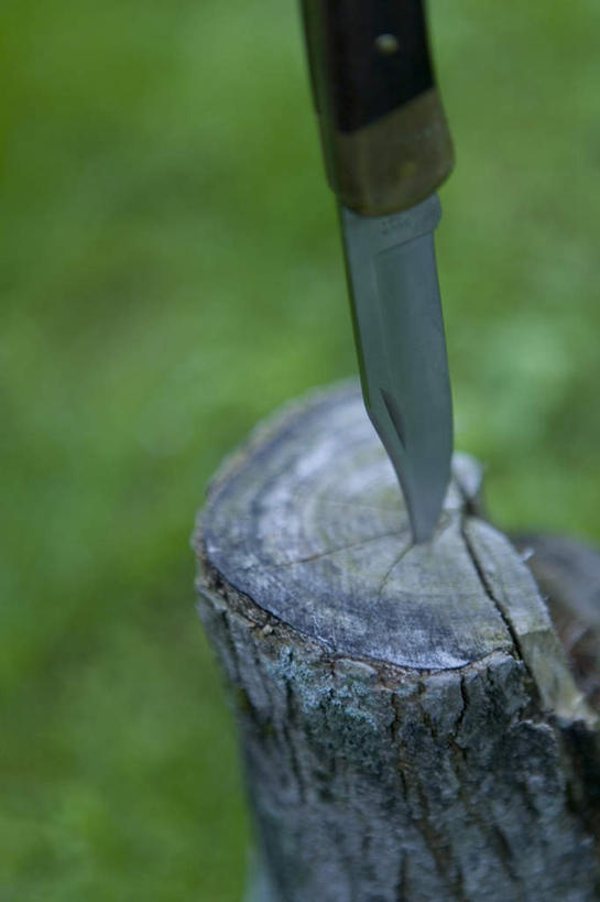 无人,竖图,俯视,室外,特写,白天,草地,草坪,植物,金属制品,一把,朦胧,模糊,金属,工具,树桩,刀具,草,树干,绿色,刀,木桩,菜刀,切菜刀,彩图,高角度拍摄