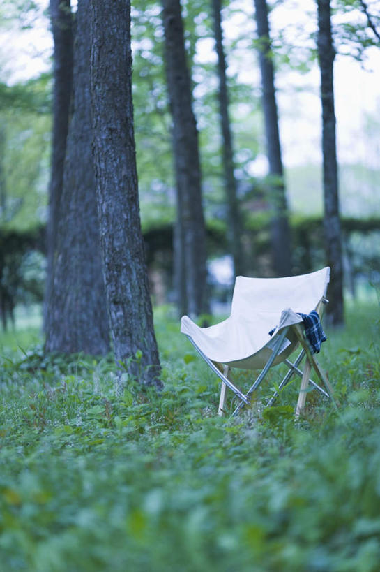 无人,竖图,室外,白天,正面,旅游,度假,草地,草坪,美景,植物,椅子,一把,朦胧,模糊,景观,娱乐,座椅,草,树,树木,绿色,白色,自然,享受,休闲,景色,放松,生长,成长,自然风光,折叠椅,彩图