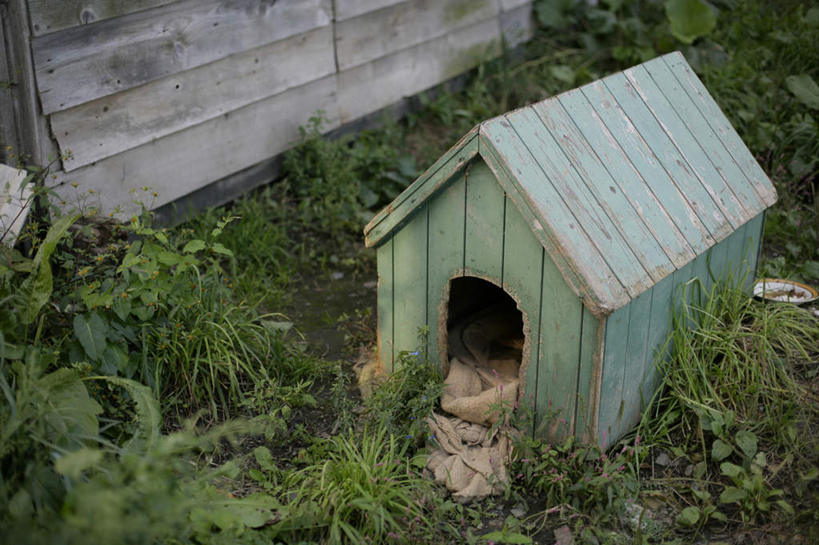 无人,横图,俯视,室外,特写,白天,草地,草坪,植物,木制,草,绿色,木制品,容器,储藏,狗窝,储存,彩图,高角度拍摄,宠物用品,贮存