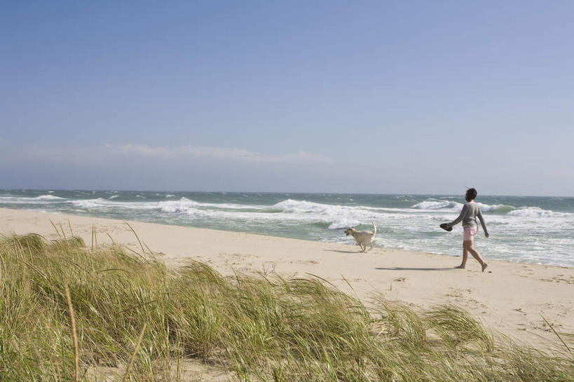 西方人,一个人,走,横图,室外,白天,旅游,度假,草地,草坪,海浪,海洋,美景,沙滩,植物,宠物,狗,欧洲,美国,欧洲人,仅一个女性,仅一个人,阴影,服装,光线,沙子,影子,海岸,景观,浪花,水平线,云,云朵,辽阔,海平线,沙地,拉布拉多,云彩,休闲装,娱乐,拉布拉多猎犬,草,一只,背面,衣服,蓝色,绿色,白云,蓝天,天空,阳光,自然,海水,动物,天,仅一个中年女性,享受,休闲,广阔,休闲服,景色,放松,可爱,服饰,晴朗,一望无际,北美,北美洲,自然风光,美洲,拉布拉多犬,海景,忠诚,马萨诸塞州,麻州,麻省,马萨诸塞,麻塞诸塞,老殖民地,海湾之州,北亚美利加洲,亚美利加洲,无边无际,一马平川,女人,女性,中年女性,白种人,大海,风浪,海,海水的波动,海滩,近岸浪,涌浪,晴空,犬,步行,散步,走路,彩图,全身,水天相接,水天一线