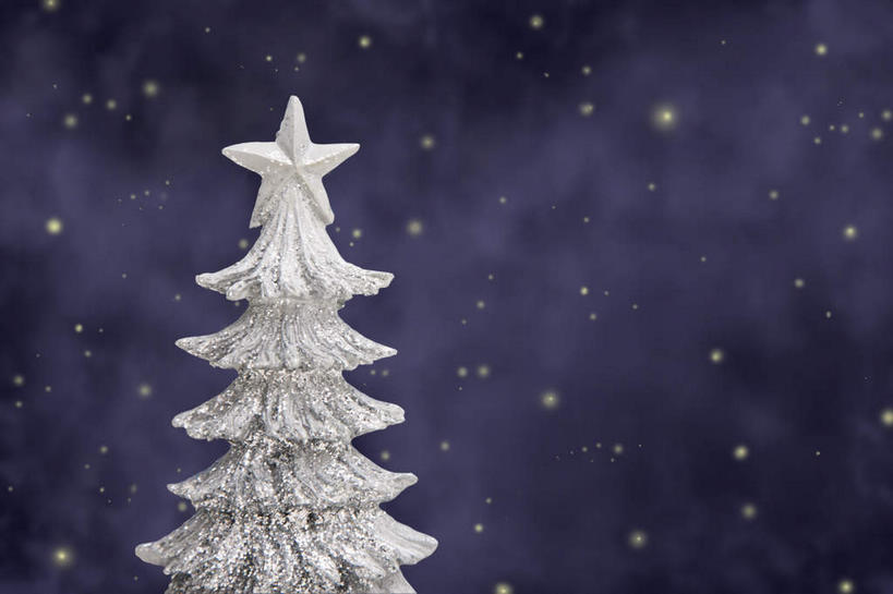 无人,横图,室外,特写,夜晚,正面,雪,植物,大雪,松树,圣诞节,节日,庆祝,装饰,积雪,雪景,星星,冬季,冬天,圣诞树,文化,树,树木,绿色,自然,庆典,星形,寒冷,生长,成长,纪念,华丽,修饰,点缀,坚定,五角形,衬托,美观,雅致,雅观,长寿,严寒,贞洁,五角星,彩图